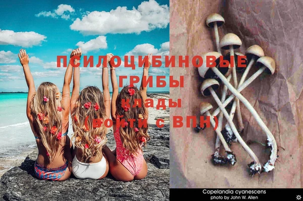 COCAINE Белоозёрский